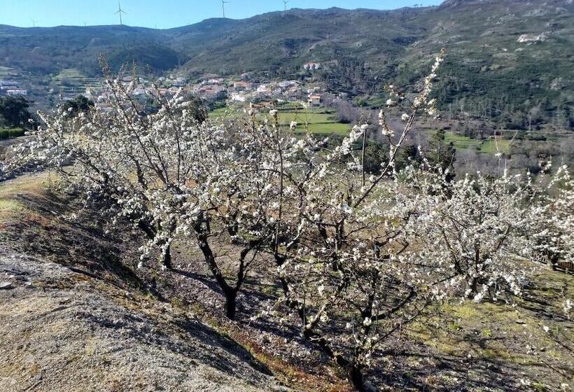 فندق ريفى Rivatur   Explorações Turísticas Lda