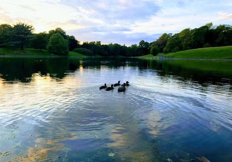 酒店 Sefton Park