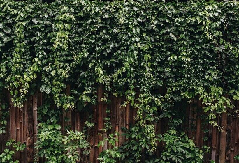 酒店 Tango Luxe Beach Villa, Koh Samui