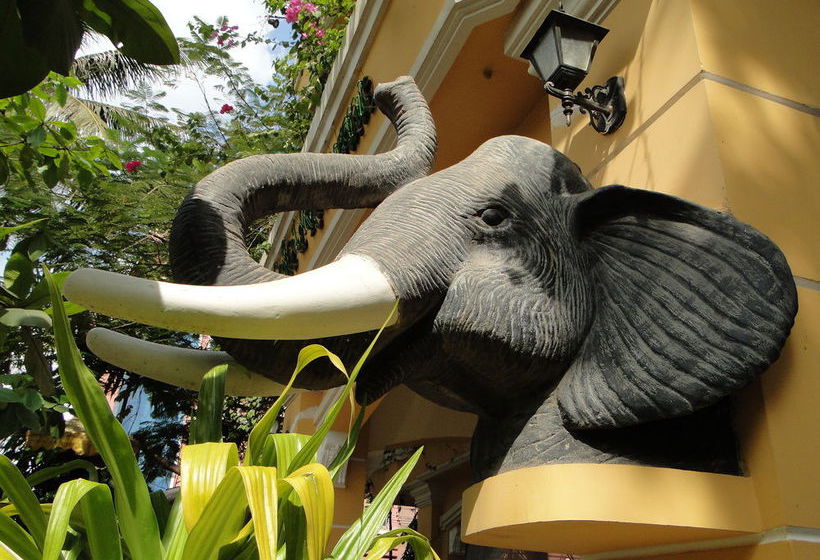 هتل Terrasse Des Elephants