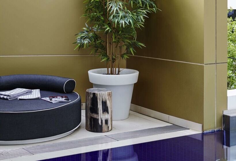 酒店 The Olsen Melbourne  Art Series