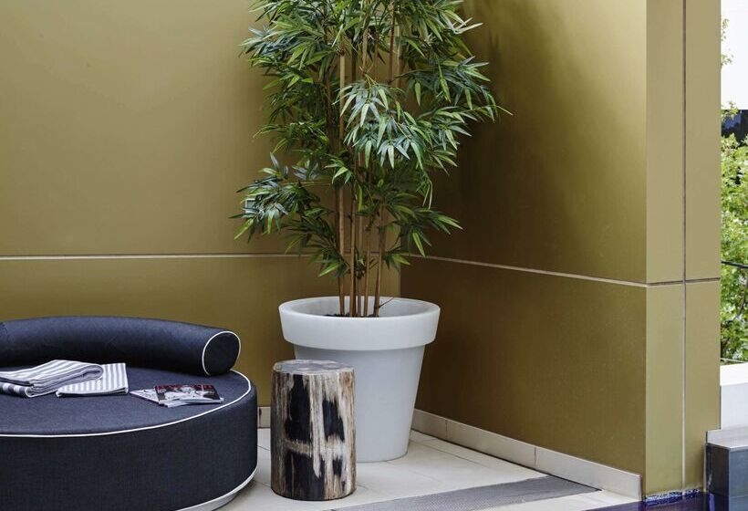 酒店 The Olsen Melbourne  Art Series