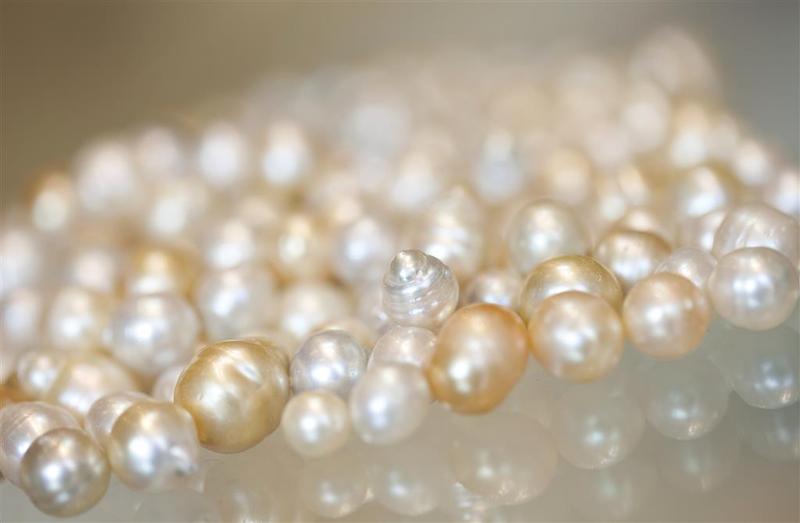 هتل The Westin Hyderabad Mindspace