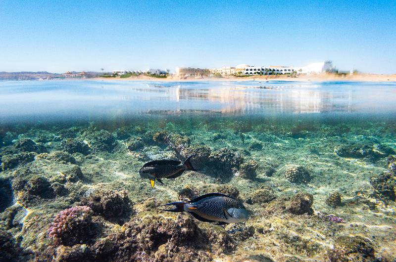 酒店 Three Corners Equinox Beach Resort