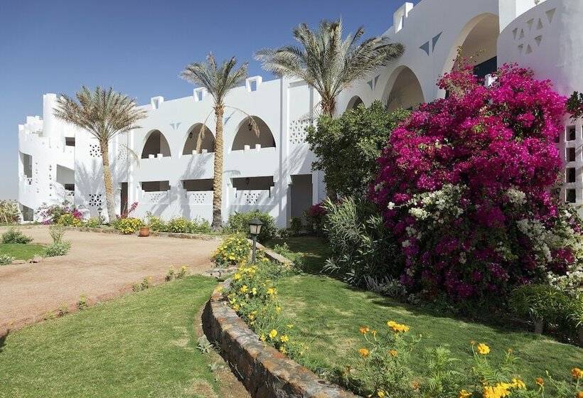 酒店 Three Corners Equinox Beach Resort