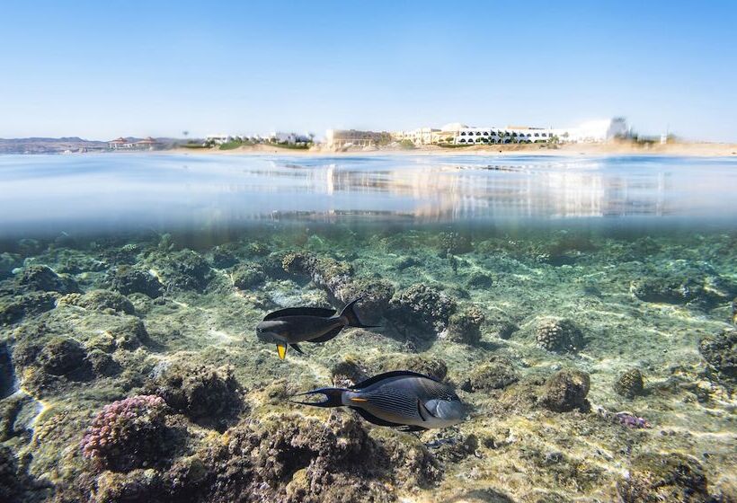 酒店 Three Corners Equinox Beach Resort