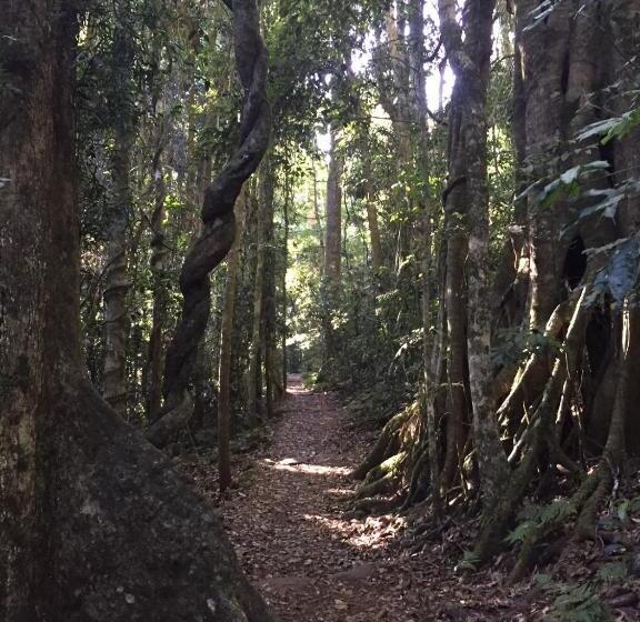 Kirra Surf Apartments