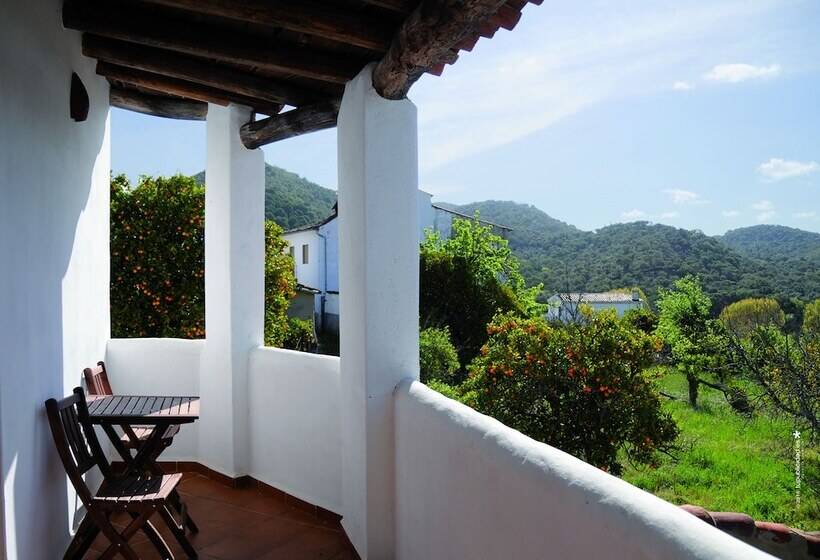 La Molinilla Apartamentos Y Hammam