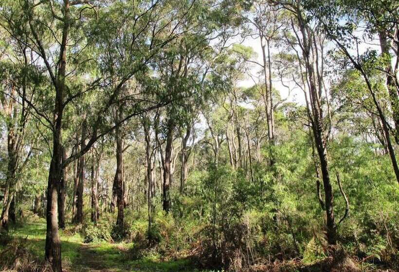 Margarets In Town Apartments