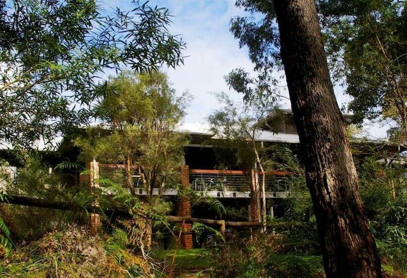 Margarets In Town Apartments