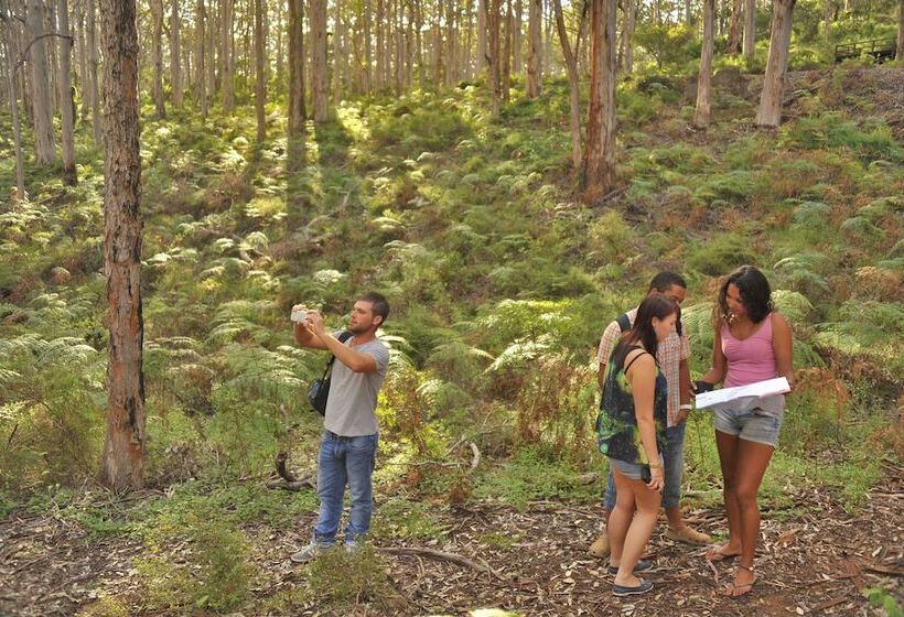 Margarets In Town Apartments