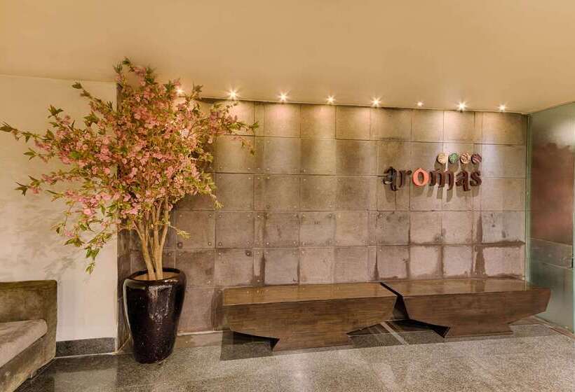 Quality Hotel Dv Manor