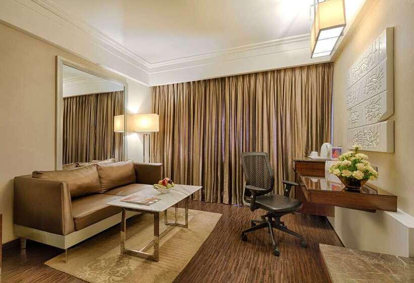 Quality Hotel Dv Manor