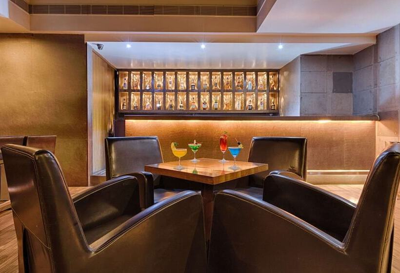 Quality Hotel Dv Manor