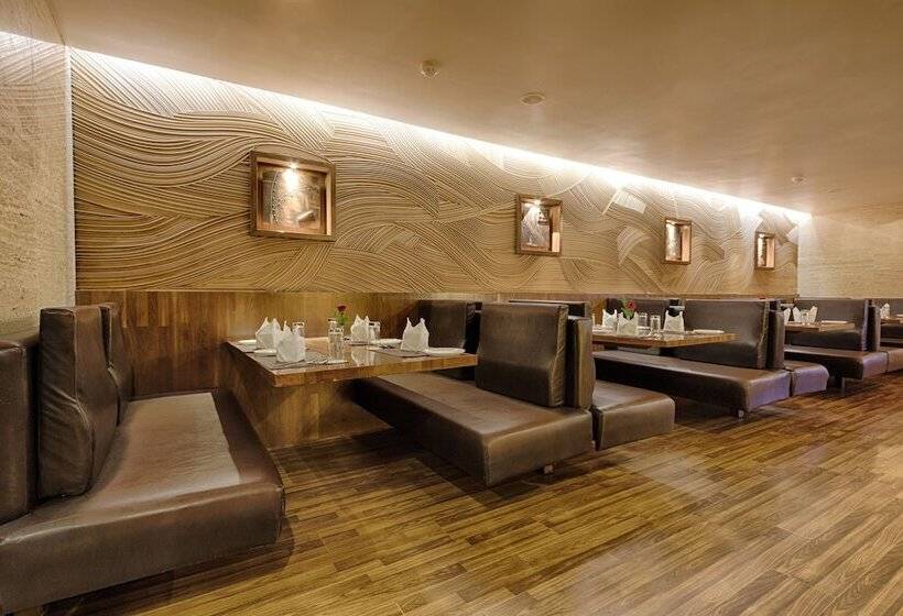 Quality Hotel Dv Manor