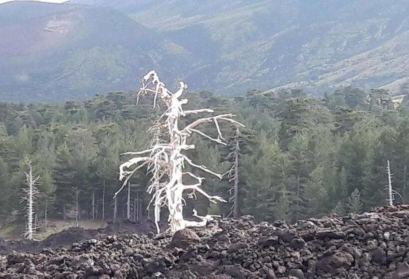 ベッドアンドブレックファースト Acqua E Fuoco Chez Rachel