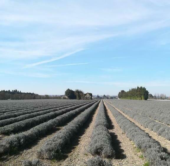 Nocleg ze śniadaniem Au Pays Du Ventoux
