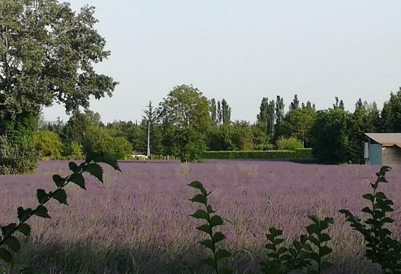 Nocleg ze śniadaniem Au Pays Du Ventoux