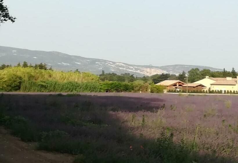 Nocleg ze śniadaniem Au Pays Du Ventoux