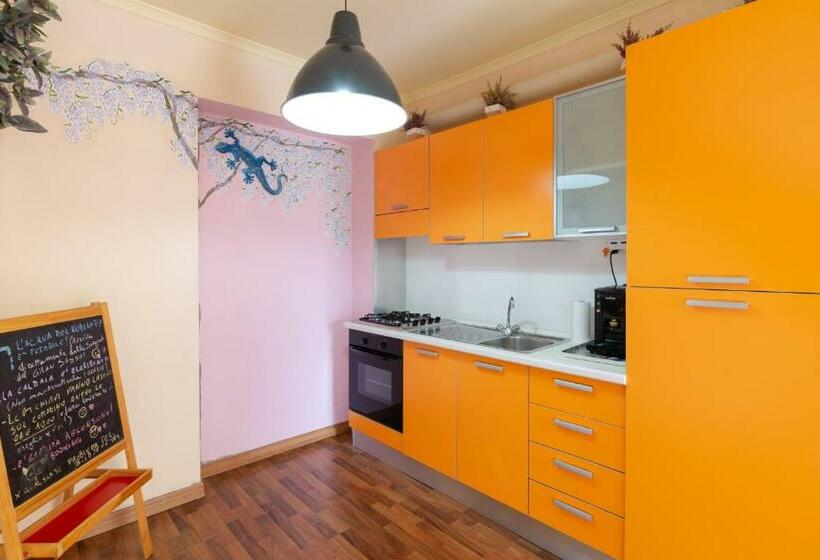 تختخواب و صبحانه Camaga