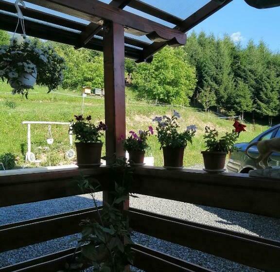 Bed and Breakfast Casa Geanina