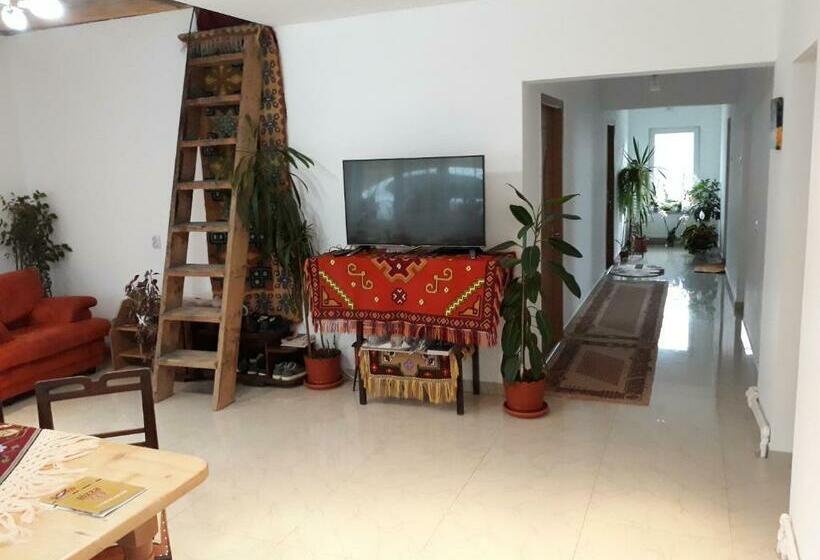 Bed and Breakfast Casa Geanina