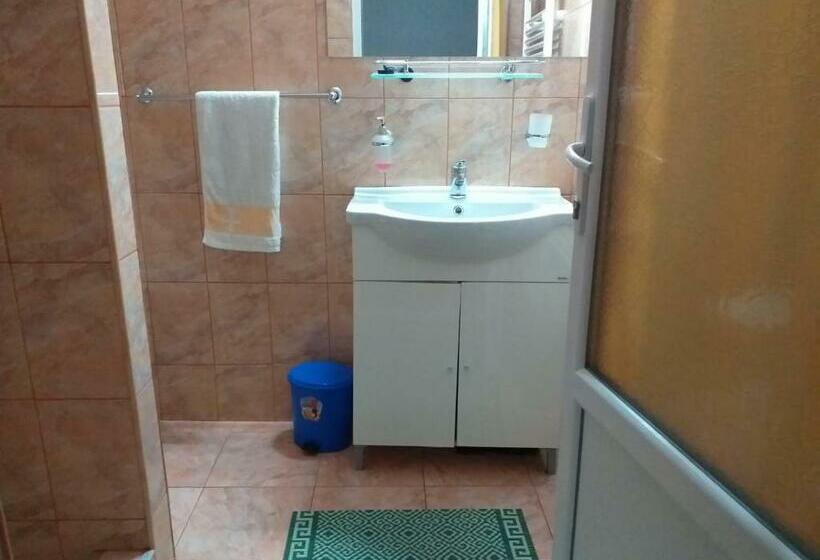 Bed and Breakfast Casa Geanina