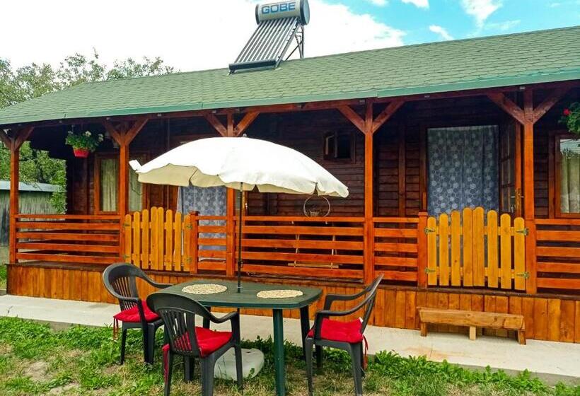 住宿加早餐  Casa La Agapia