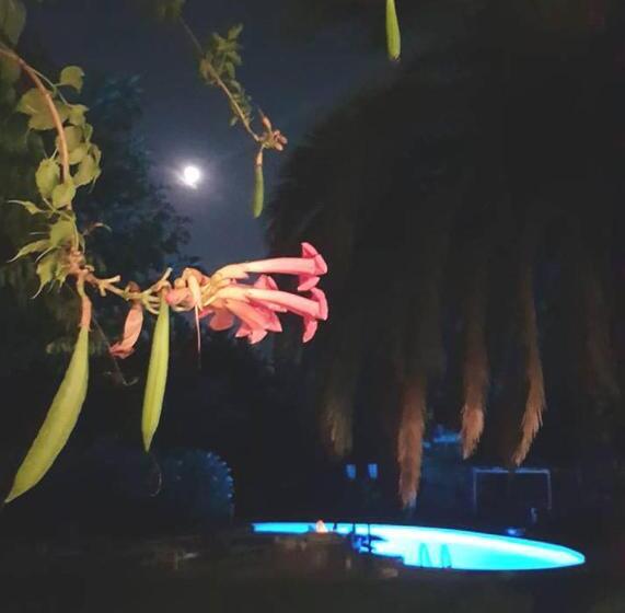 مبيت وإفطار Féerie Love