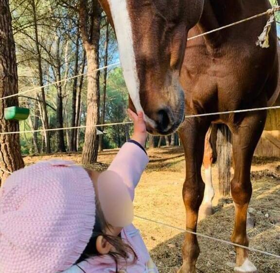 مبيت وإفطار Féerie Love