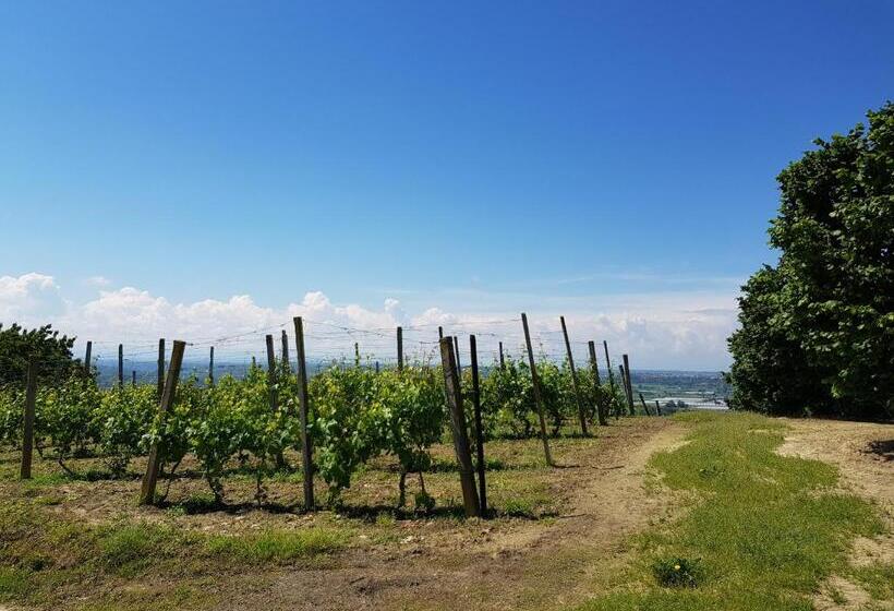 ベッドアンドブレックファースト La Collina Dei Passeri