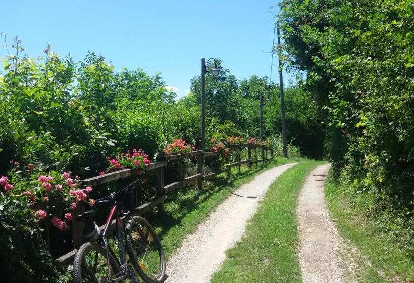 צימר La Collina Dei Passeri