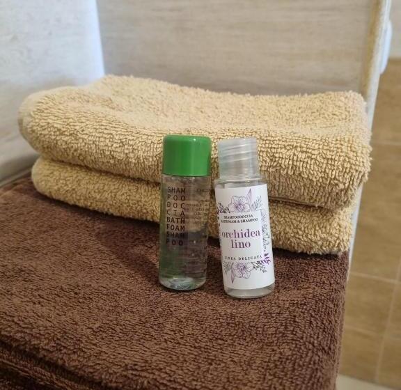 住宿加早餐  San Casciano