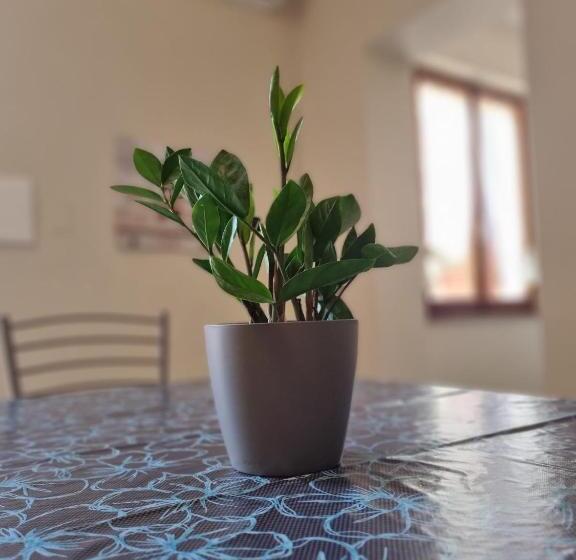 住宿加早餐  San Casciano