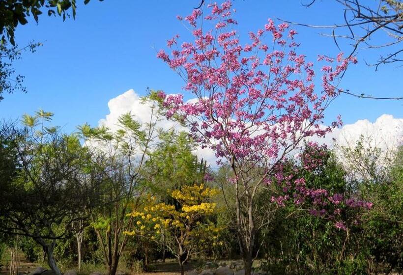El Pedregal Hotel En La Naturaleza