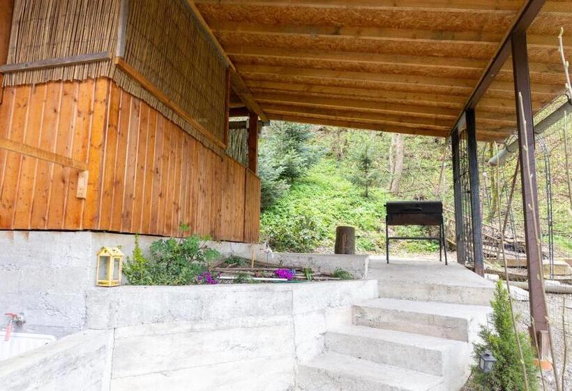 بنسيون Casa Flori De Nuc