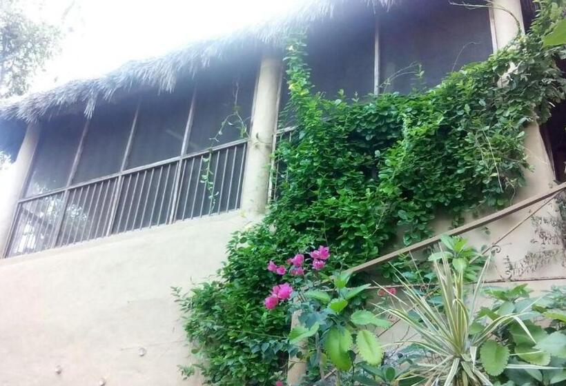 膳宿费 Casa Maria En La Manzanilla