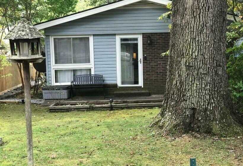 بنسيون Ed & Rosie S Place