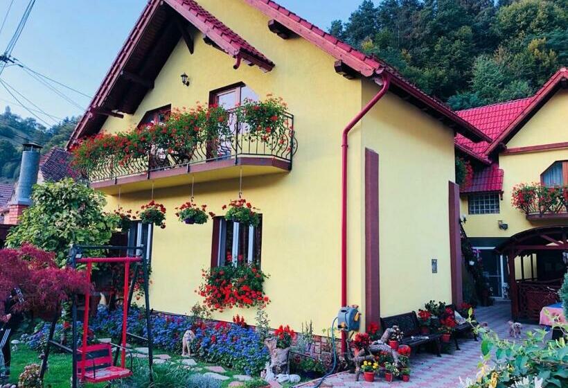 פנסיון Ika House