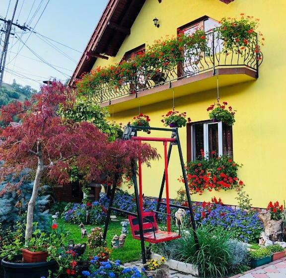 بنسيون Ika House