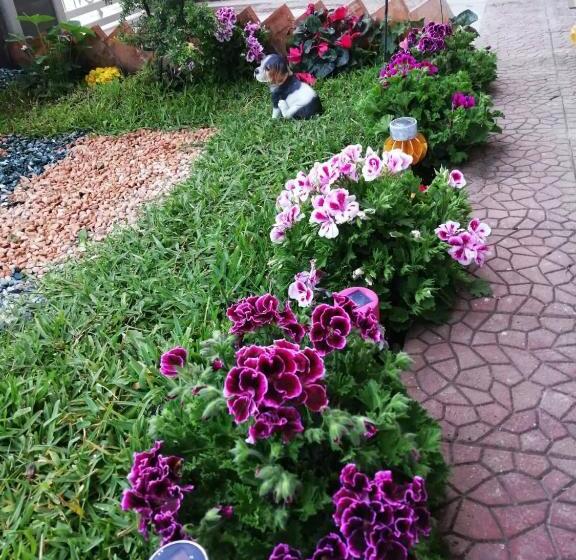 بنسيون La Romantica