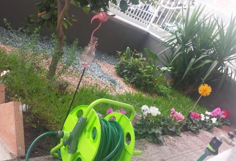 بنسيون La Romantica