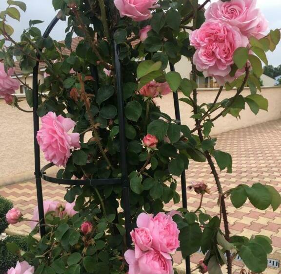 بنسيون La Roseraie Résidence Près De Vichy