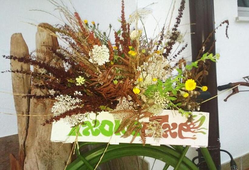 旅馆 Casa Rural Txokoetxe