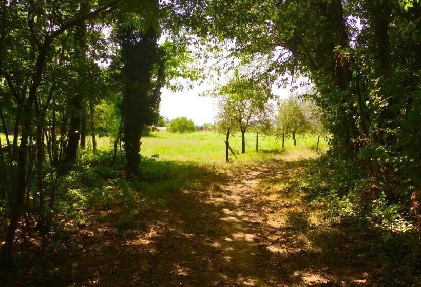 B&b Corte Sant Angelo