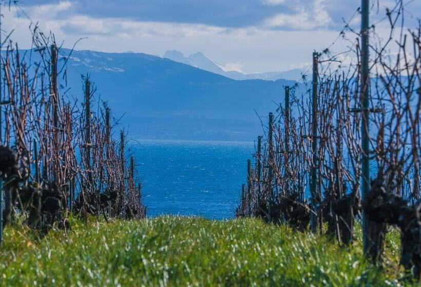 住宿加早餐  Casa Vinitoscani