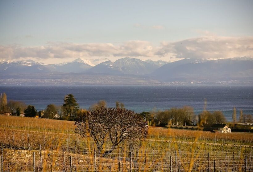 住宿加早餐  Casa Vinitoscani