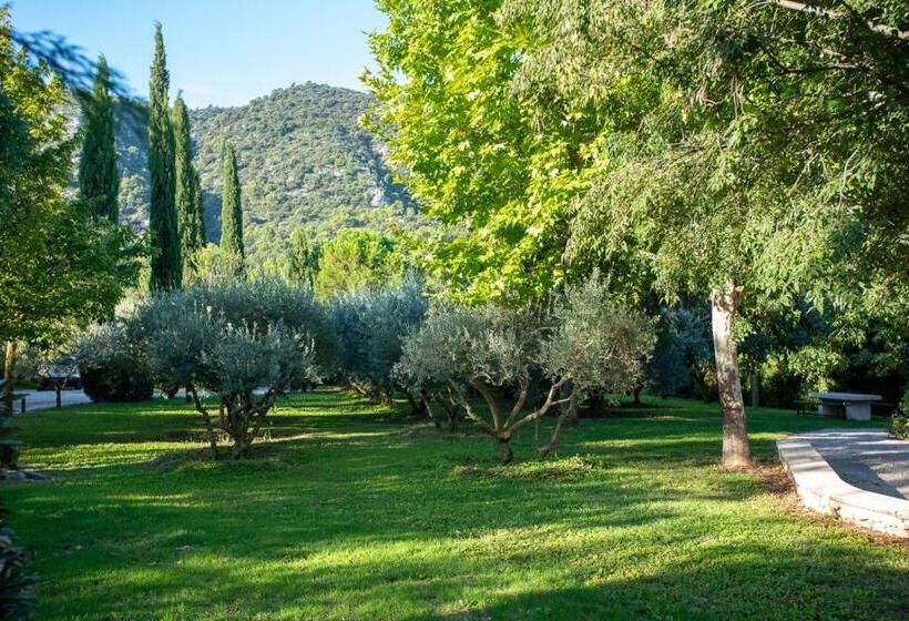 ベッドアンドブレックファースト Le Champ Des Oliviers