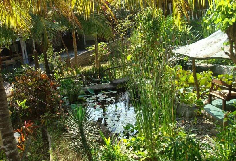 בית מלון כפרי Villa Arjuna