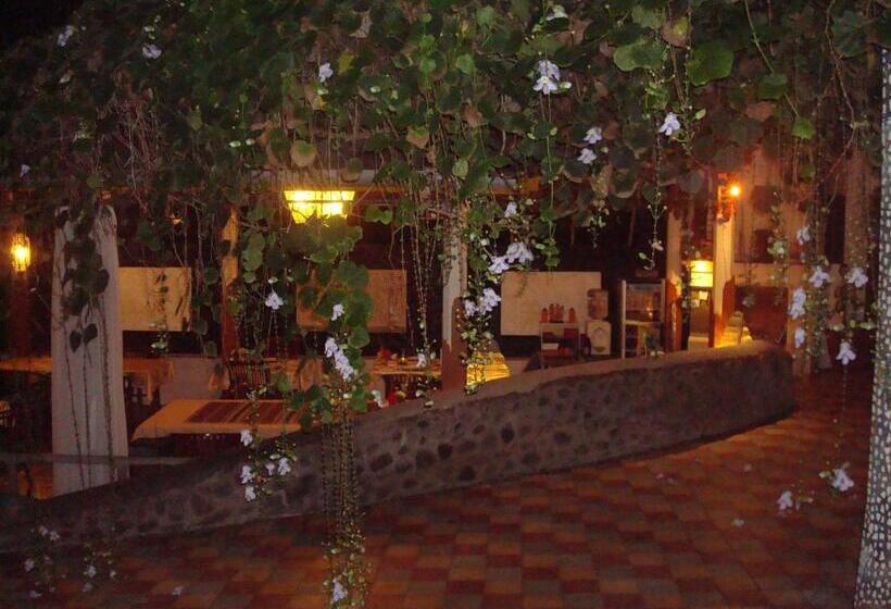 בית מלון כפרי Villa Arjuna